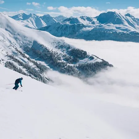 Bock * Stanz Bei Landeck